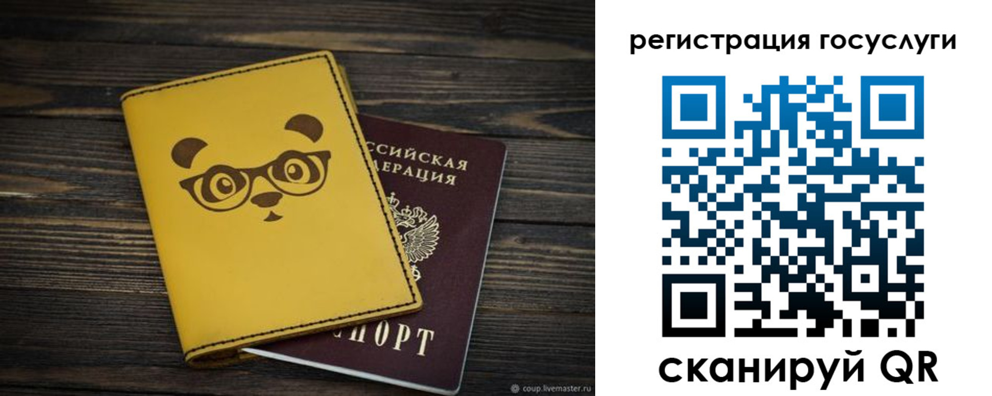 прописка иностранных граждан в Полярных Зорях
